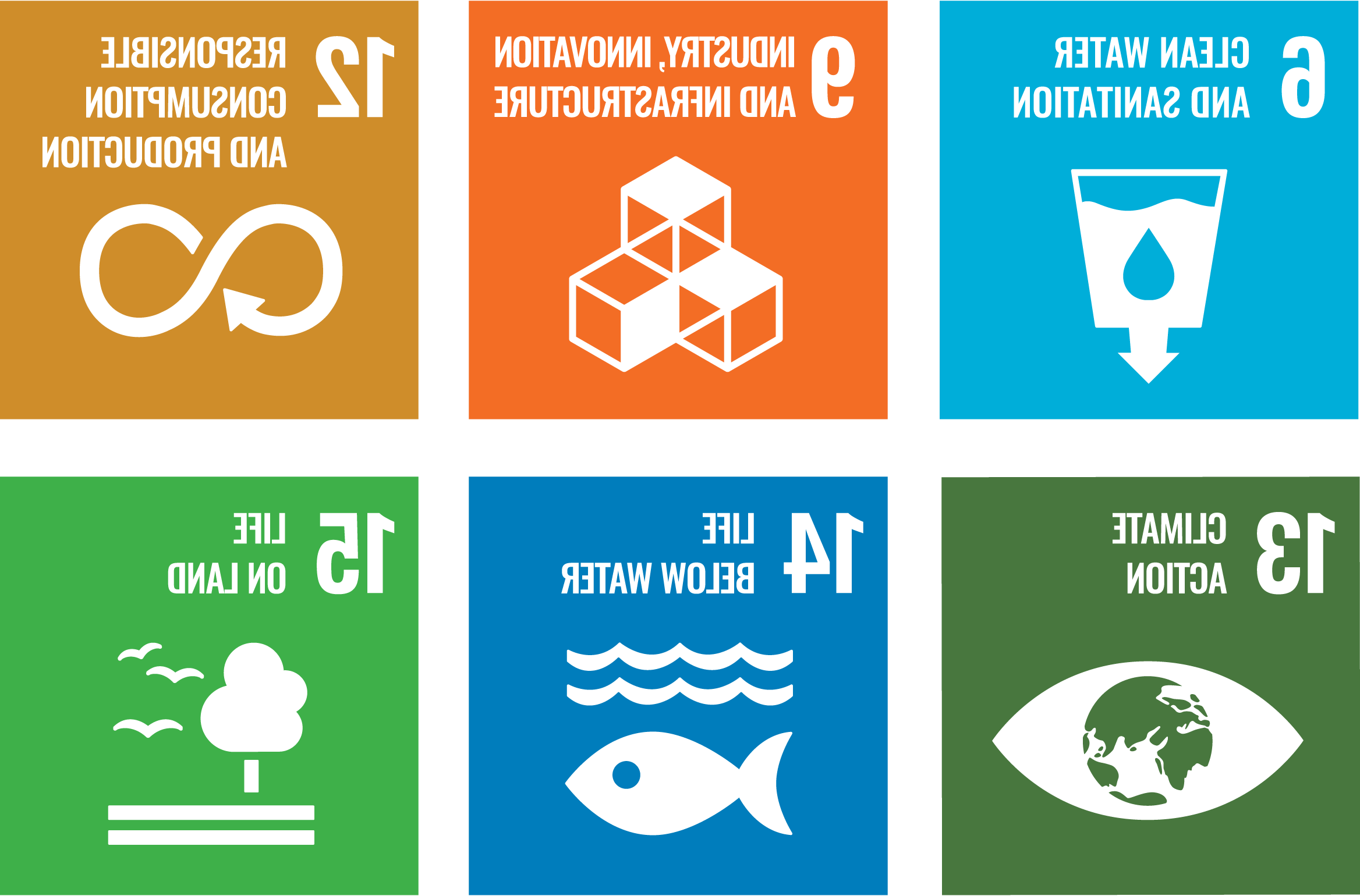 代表联合国可持续发展目标6、9、12、13、14和15的图标.
