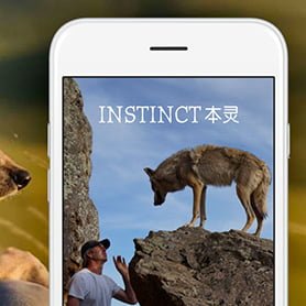 INSTINCT | 本灵 现已进入中国市场。