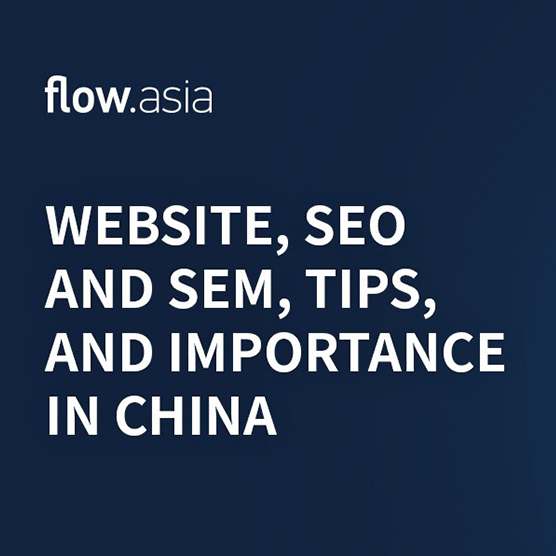 网站、搜索引擎优化（SEO）和搜索引擎营销（SEM）在中国的技巧和重要性